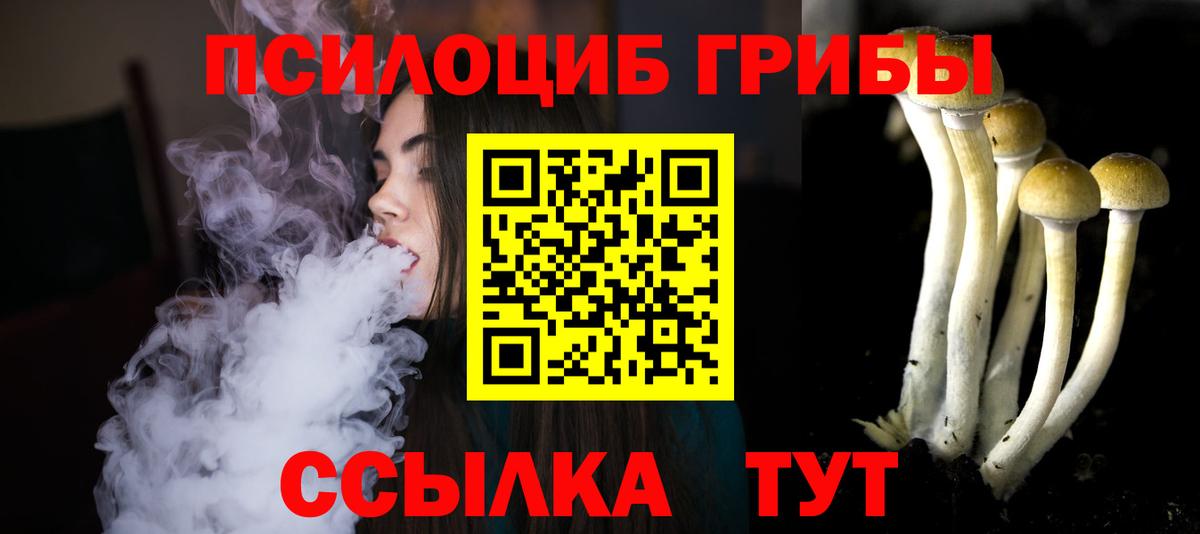 Псилоцибиновые грибы мицелий  Вход с VPN  Владивосток 